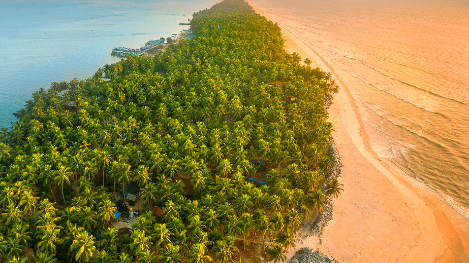 Beach view