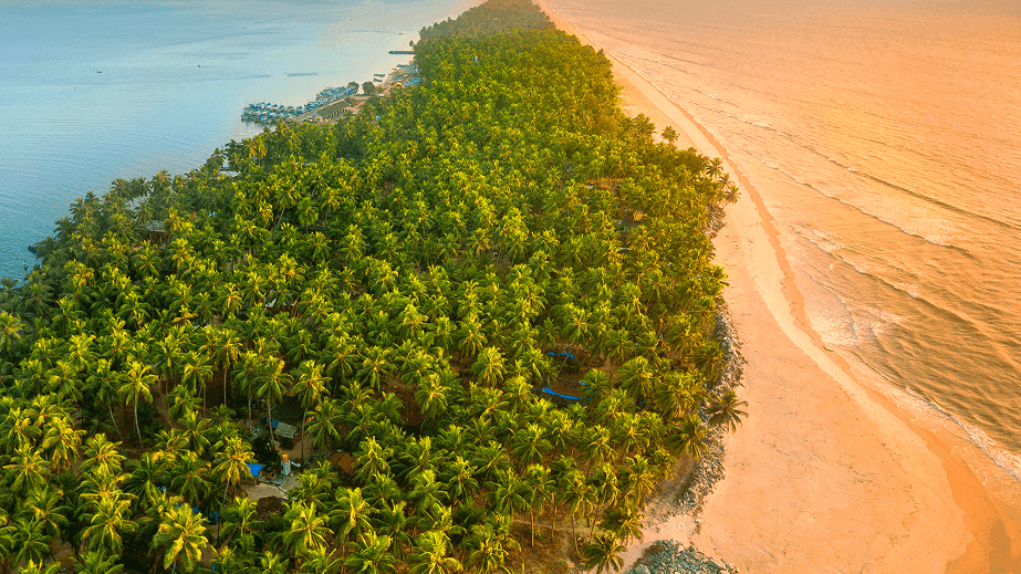 Beach view